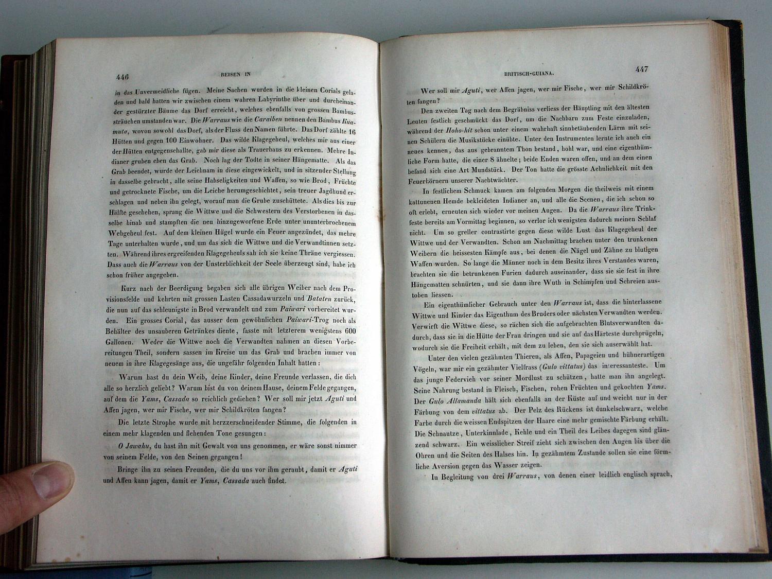 ZZ-RISC48,S.446 Begräbnis